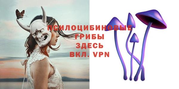 молекула духа Зеленокумск