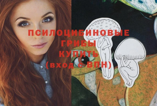 молекула духа Зеленокумск