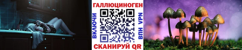 Псилоцибиновые грибы Psilocybe  Ивангород 